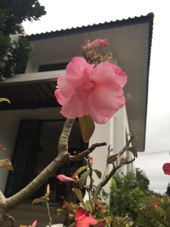 Baan Nan B&B Hotel Dış mekan fotoğraf